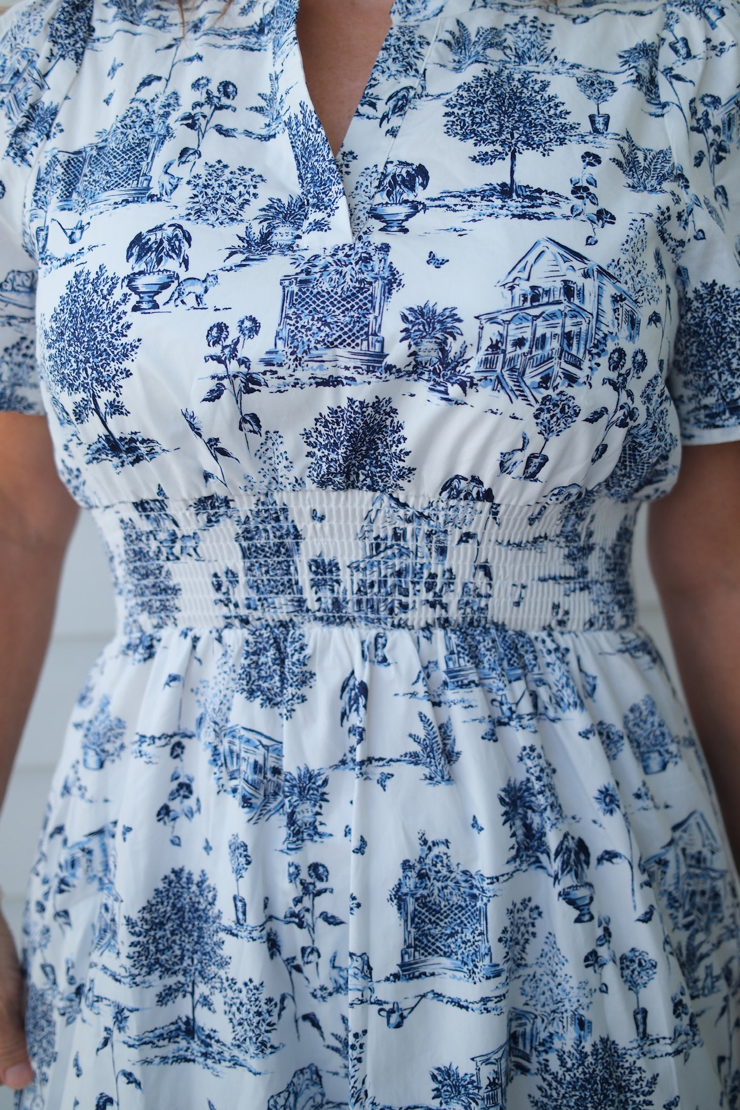 Blueberry Lane Dress