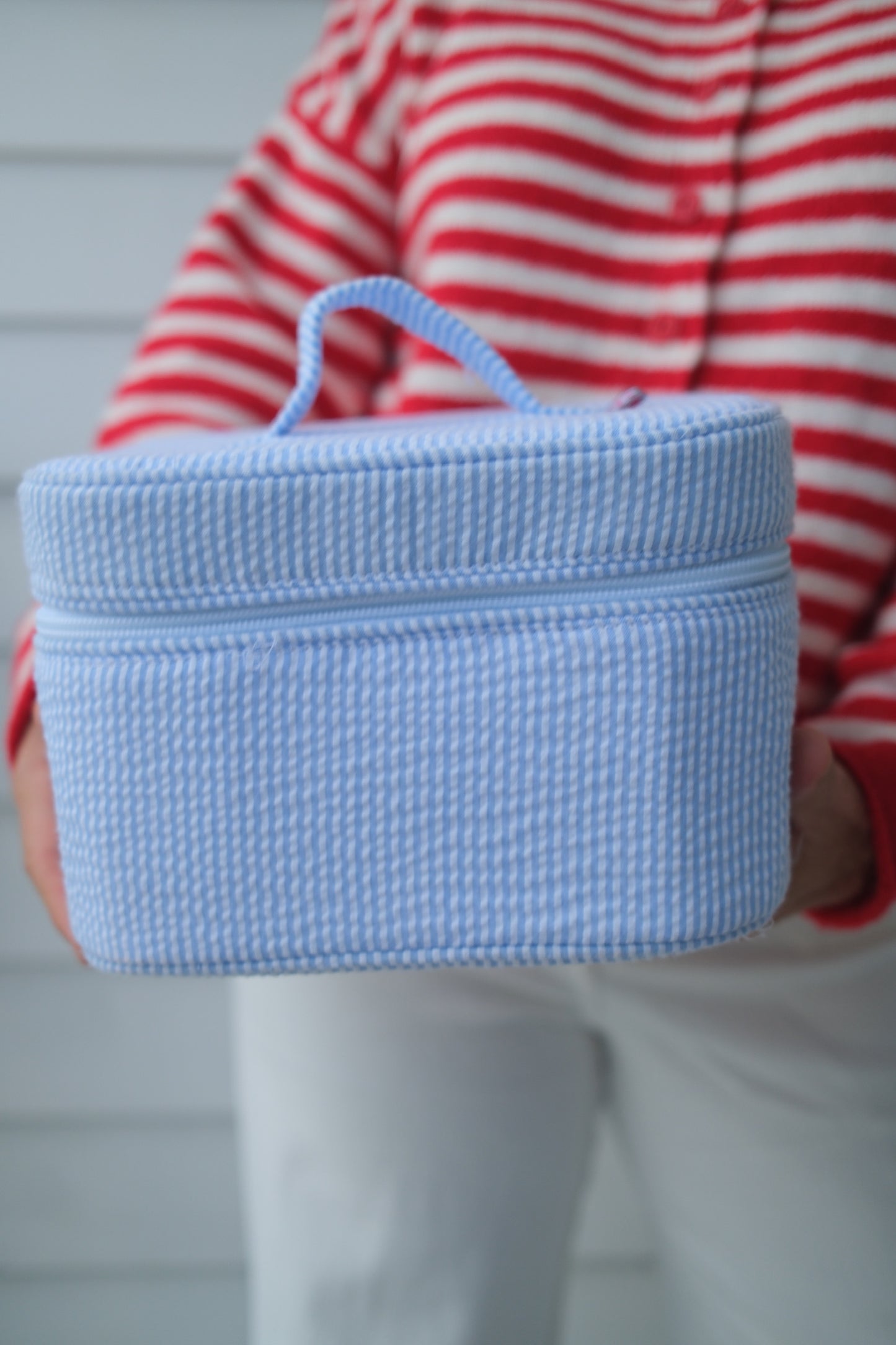 Baby Blue Seersucker Train Case